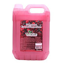 PL. SABONETE ESPUMA FRUTAS VERMELHAS 5L - VERDESAN